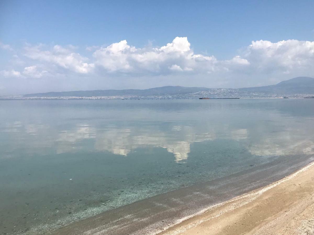 Lovely And Sunny Apartament 300M From Beach!! Peraía Exteriör bild